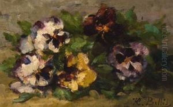 Les Violettes - view 1
