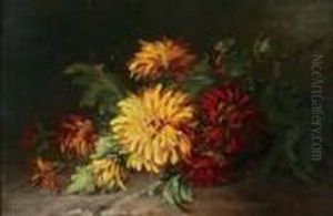 Dahlia's