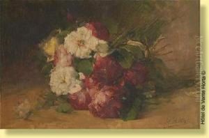 Nature Morte Nature Morte