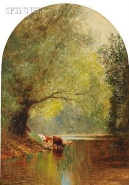 Cows Drinking At Stream Under Spreading Trees - view 1