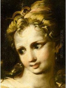 Study For The Head Of A Young Girl Study For The Head Of A Young Girl