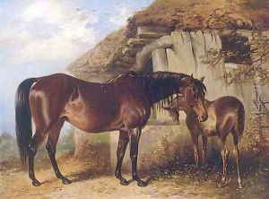 Mare and Foal 1850 by Henry Barraud