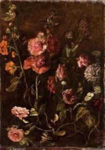 Fiori Di Bosco Fiori Di Bosco