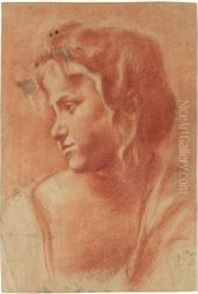 Busto Di Fanciullo Rivolto Verso Sinistra - view 1