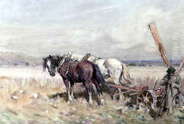 Harvesting - view 1