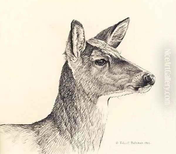 White-Tailed Deer - view 1