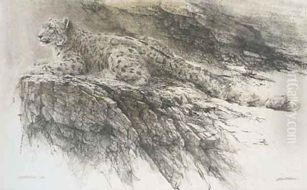 Leopard on a rock - view 1