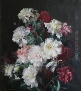 White, Pink And Dark Red Peonies