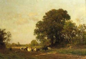 Cows on a sandy track in a wooded landscape