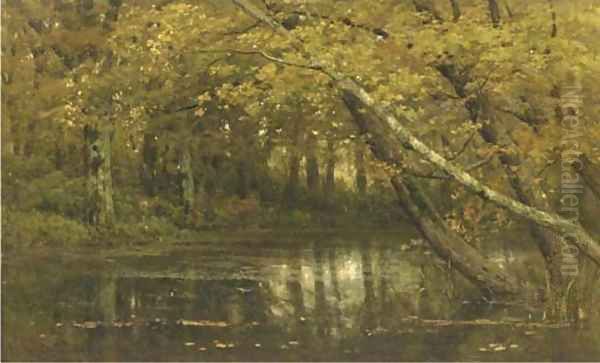 A forest in autumn - view 1