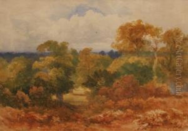 Untitled Landscape - view 1