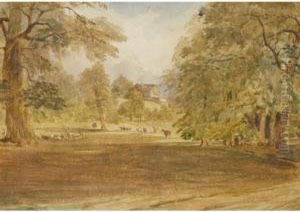 Deer On Diana Hill, Shrubland Park by William James Bennett
