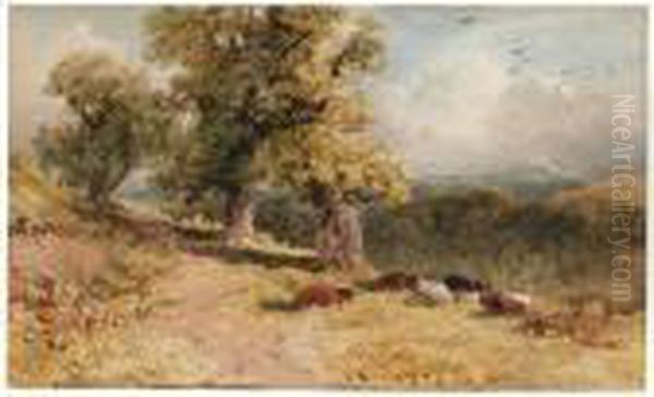 Cattle Resting In A Wooded Landscape - view 1