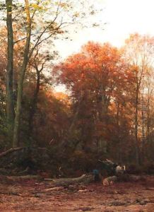 A woodcutter at work in a forest clearing by Julius Jacobus Van De Sande Bakhuyzen