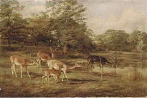Stags and hinds by Thomas Barrett