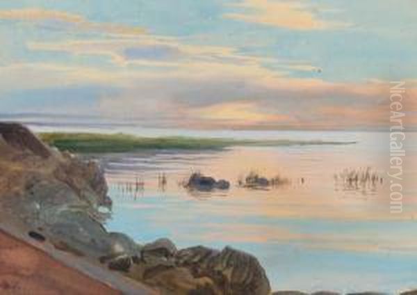 Landscape - view 1