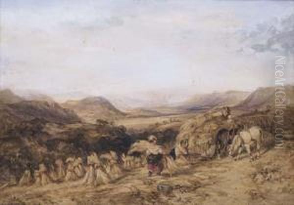 Harvesting In The Highlands - view 1