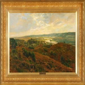 Landscape From Silkeborg Lake District, Denmark