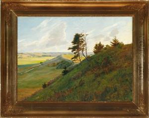 A Danish Summer Landscape - view 1