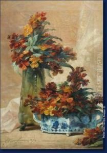 Nature Morte Nature Morte