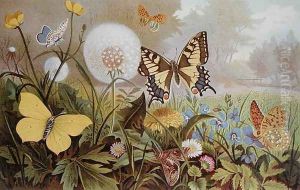Butterflies, illustration from an Hungarian natural history book, c.1900 by Alfred Brehm