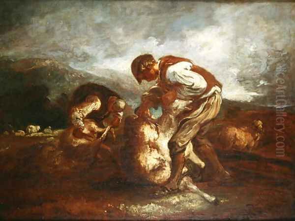 Sheep Shearing - view 1