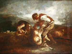 Sheep Shearing