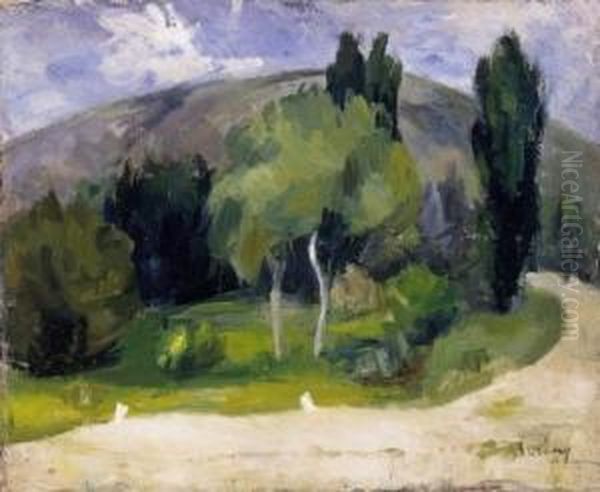 Hillside In Zebegeny - view 1