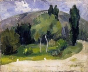 Hillside In Zebegeny by Robert Bereny