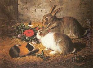 Escaped: Two Rabbits and a Guinea Pig Escaped: Two Rabbits and a Guinea Pig