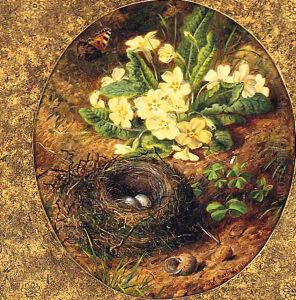 Primulas, a Snail's Shell, a Bird's Nest with Eggs and a Butterfly by Alfred R. Barber
