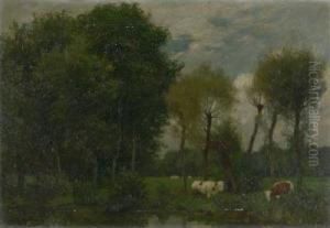 Landschaft Mit Kuhen