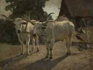 Zwei Langhornrinder Vor Bauernhaus Mit Huhnern