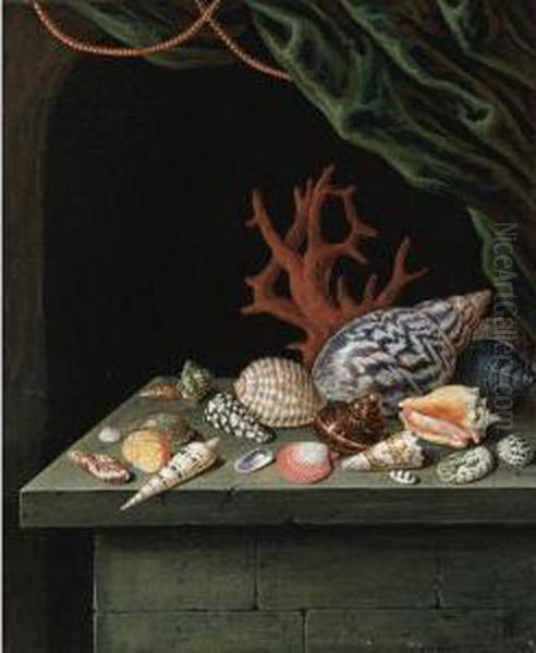 Still Life With Shells And Coral, Resting On A Stone Ledge - view 1