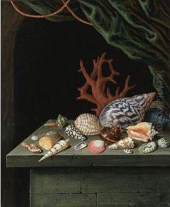 Still Life With Shells And Coral, Resting On A Stone Ledge by Antoine Berjon