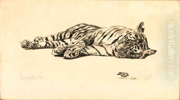 Impudence - Tiger - view 1