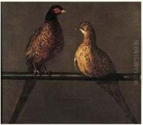 Un Faisan Et Une Poule Faisane - view 1