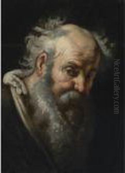 Head Of A Bearded Man - view 1