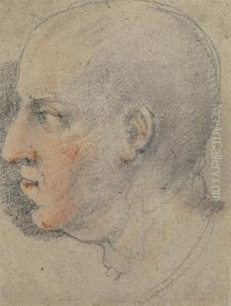 A Study Of A Male Head, In Profile Facing Left - view 1