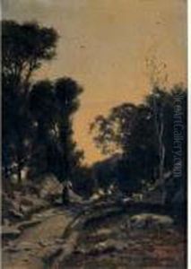 Chemin Dans Un Sous-bois