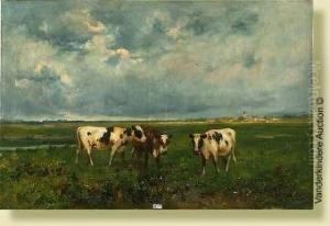 Vaches Au Pre