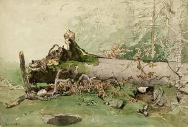 Waldlandschaft Mit Entwurzeltem Baum - view 1