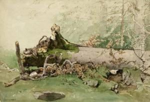 Waldlandschaft Mit Entwurzeltem Baum