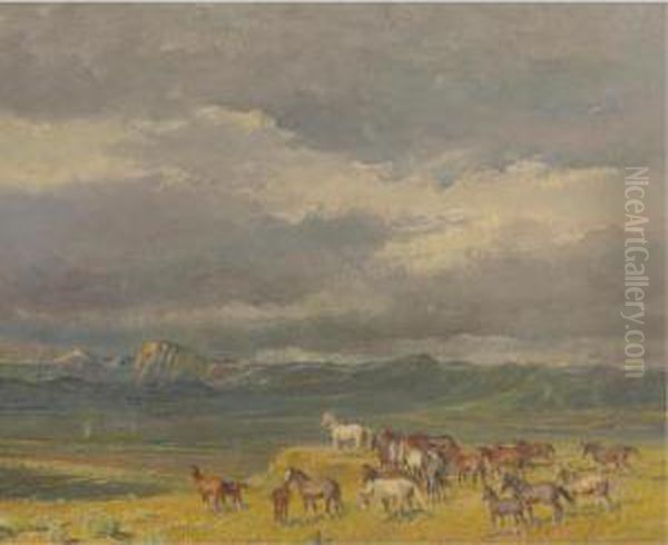 Wild Horses - view 1