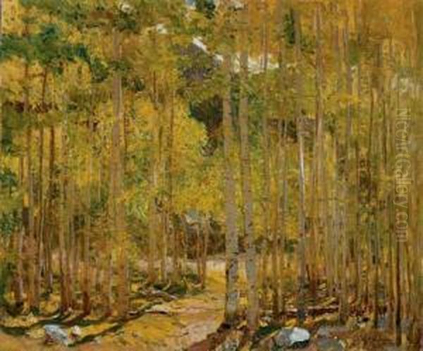 Aspen Forest, Early Autumn - view 1