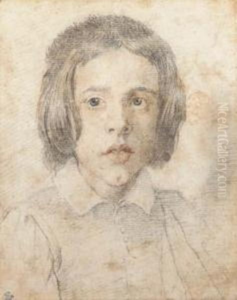 A Young Boy With Long Hair, Bust-length - view 1