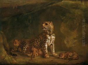 Leopard Et Ses Petits