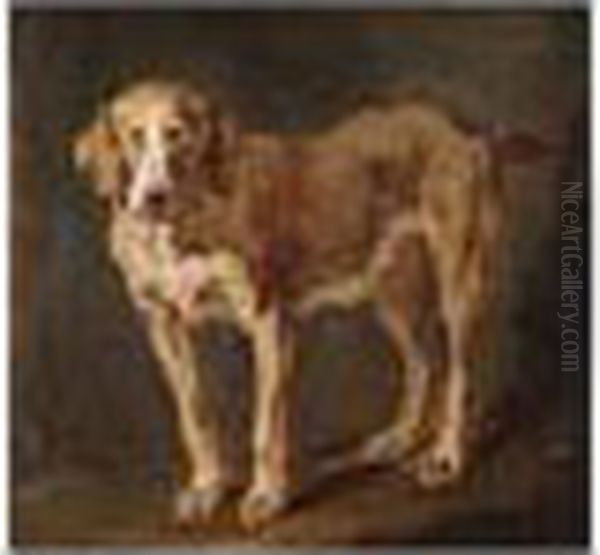 A Hound - view 1