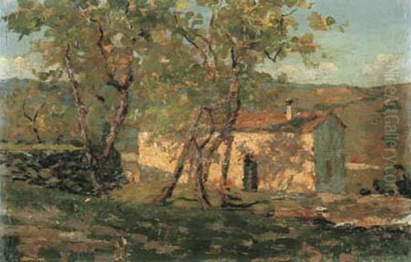 La Vigna A Pennabilli - view 1