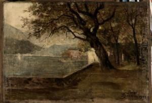 "lungolago" 1909 by Luigi Bertelli